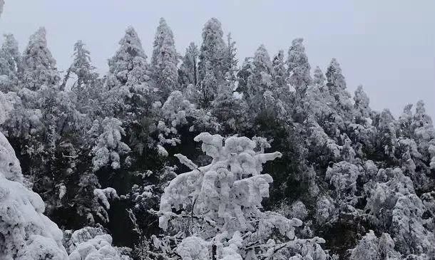 探秘幽深的历史隧道，重现风雨砥砺的传奇——阴平古道