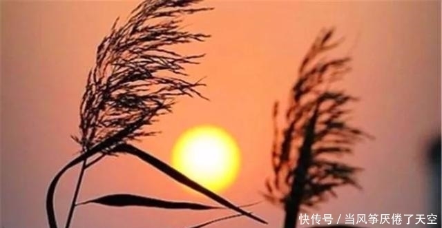 不应该管|人过四十,莫管2事,人过五十,莫管2人,老祖宗的忠告