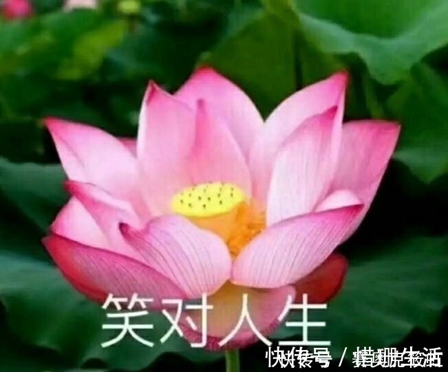 男友 男生对口红都有哪些误解?口红色号就是价格?999是皮炎平?