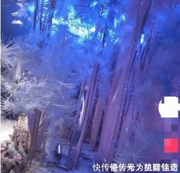婚礼现场塞满“廉价塑料”遭嫌, 开灯后惊现“冰雪奇缘”幻境!