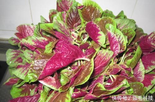 食物|患上子宫肌瘤要淡定,6种食物坚持吃,助你活血化瘀、消除肌瘤