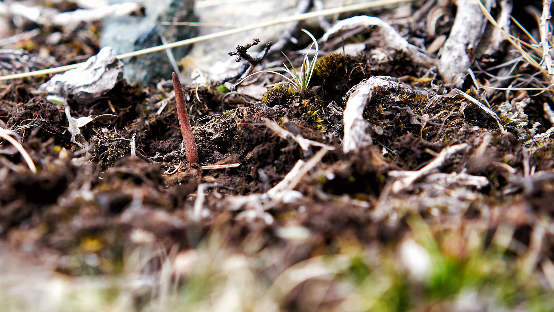 在熟悉的318国道上画出两个鲜有人知的圈~川西游记-格聂&塔公