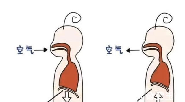 父母|宝宝一直“打嗝”怎么办?可能是这3个原因引起的,宝妈要知道