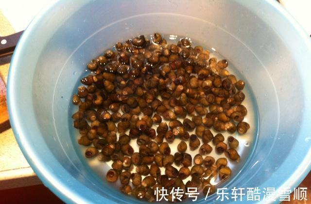 田螺|买田螺自己炒,汤汁鲜美,跟家人一起嗦美味的田螺