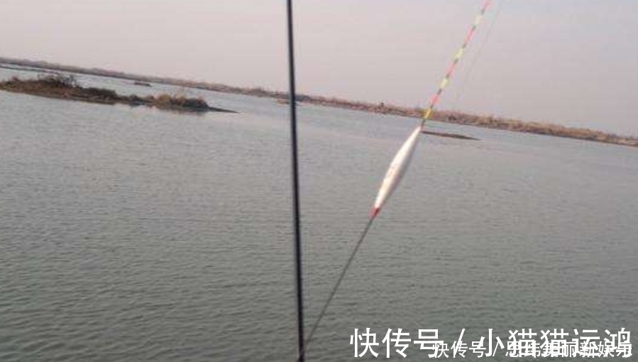 气温|鲤鱼比鲫鱼难钓十几倍?老司机坦言:试试这三大“灵活”就知道了