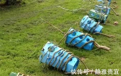 椅子|头一次见这样子的家具,全身上下没有一颗螺丝,生产一把要10年
