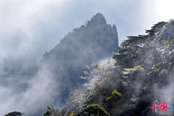 银装|强降温让黄山一日跨两季 色彩斑斓秋色披银装