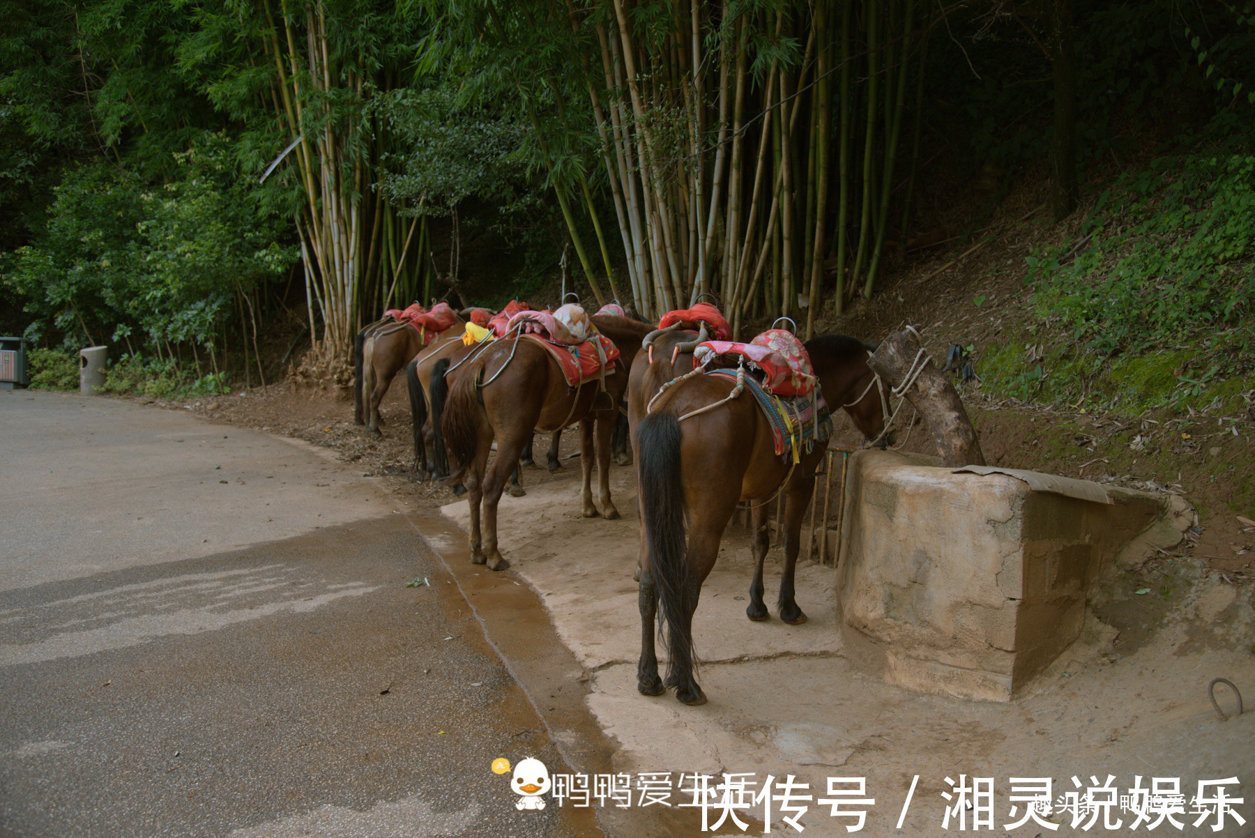 风景名胜区|国庆去哪玩国内规模最大溶洞景观，2700层阶梯风景独特，美呆了