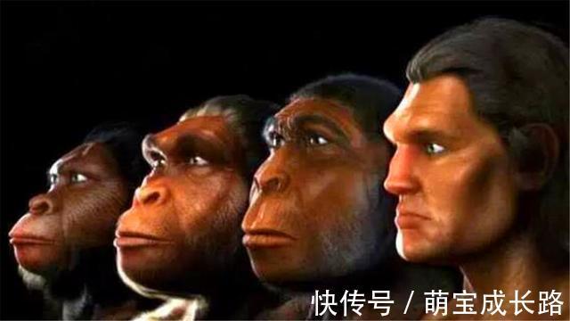 动物|为什么动物生育后代那么轻松,人类分娩时却疼得撕心裂肺?