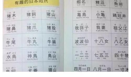 惊讶什么意思中文