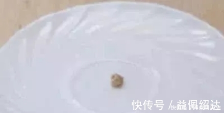 吉尼斯世界纪录|吉尼斯之最：最小的饺子你见过吗？仅0.016克，塞牙缝都不够