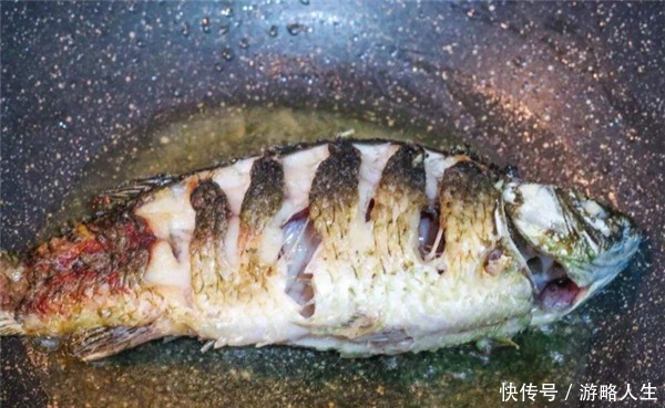 大厨这样炖“鲫鱼汤”,又香又白没腥味,原来炖前多做了“2步”!