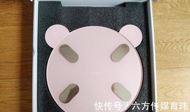 体脂秤|让减肥更加科学有依据，这么呆萌的咕咚小魔兽体脂秤还要啥自行车