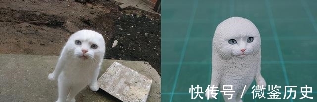 还原|全球的猫都想屏蔽这个日本人,他到底做了多少沙雕手办?