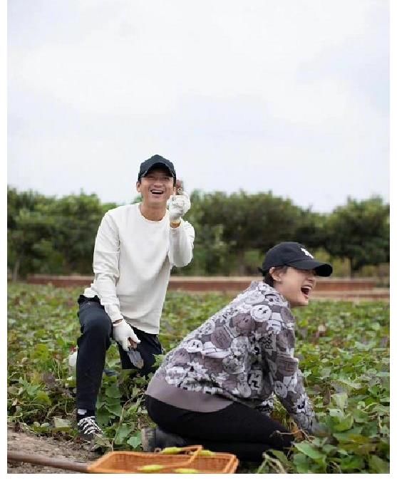 孙俪看邓超新综艺，直言看后肠子都悔青了，网友：有同感