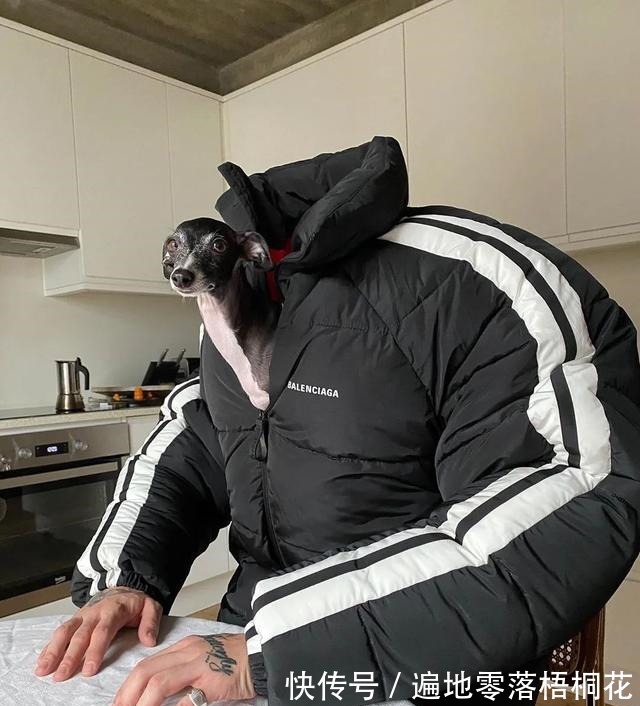 洞洞鞋 救命!这到底是什么