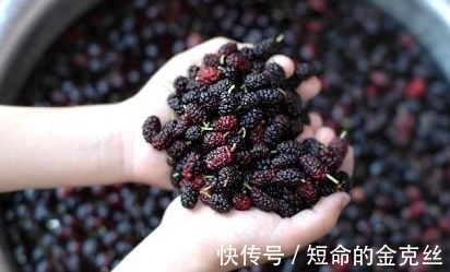 多胞胎|孕妇梦到这4件事，是吉兆，预示是男宝宝且大有作为