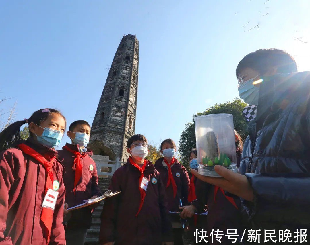 塔身|比萨斜塔没它斜！保护“上海斜塔”，小学生出马