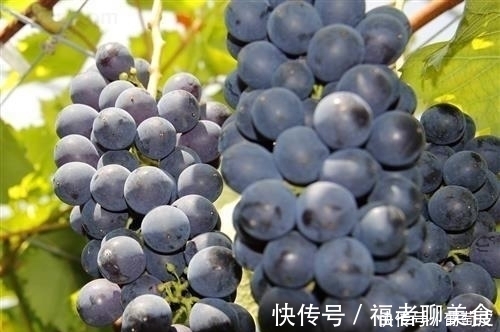 中国居民膳食指南|牛奶不宜和一些水果同吃，这里介绍三种水果