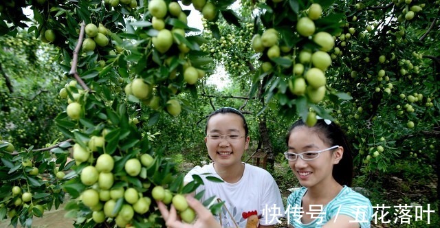 酸豆角|处暑之后，饮食宜清淡温补，分享6道适合秋天吃的菜，去燥又滋润！