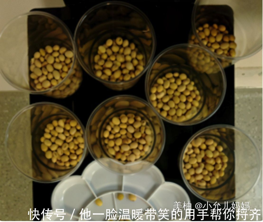 孩子|“老师说要带1万颗豆”,全家熬夜数豆子,质问老师却被“打脸”