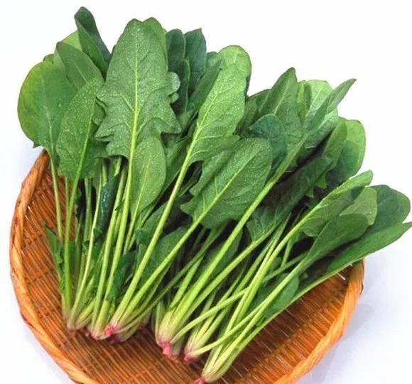 蔬菜|中老年骨质疏松要补钙，这五种蔬菜是补钙佳品，又便宜还管用