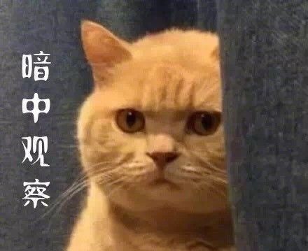 午睡|宝宝午睡竟没哭闹,宝妈放心不下偷偷观察,开门一看笑岔气