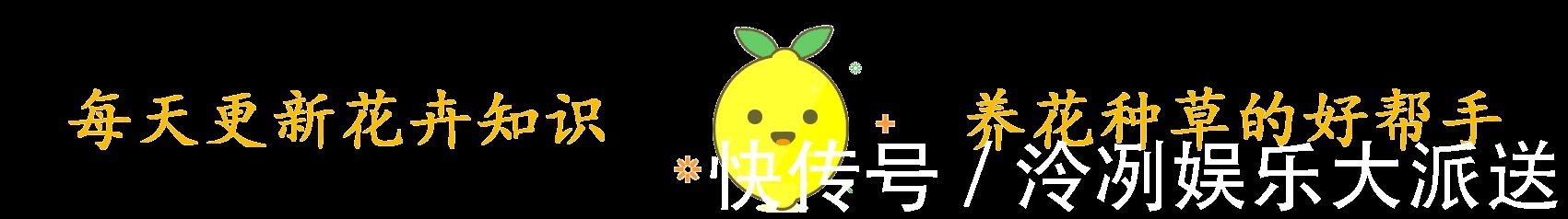 浇水|这2种花花期长又好养，光照不足也不影响，美化环境陶冶心情