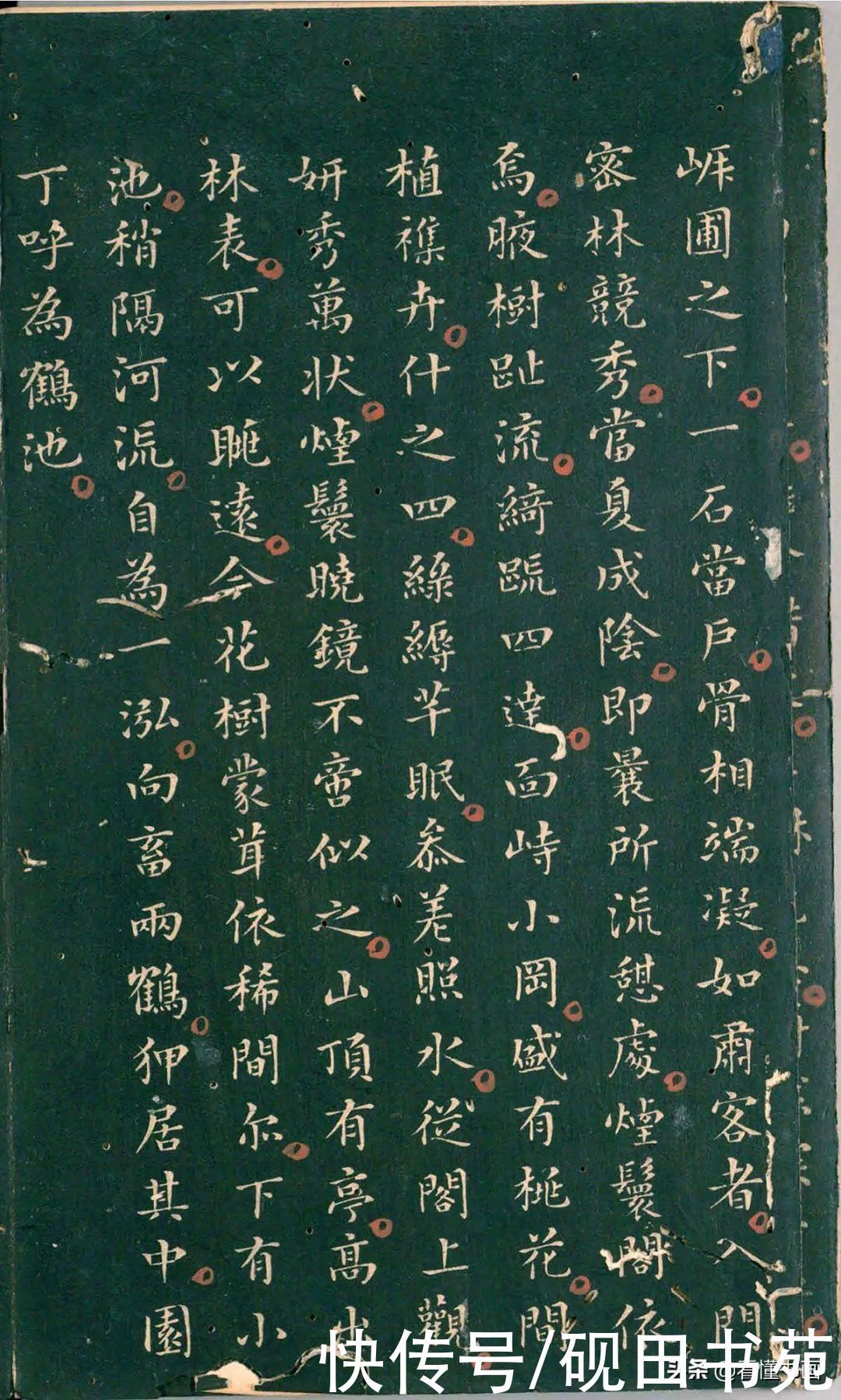 彭汝楠@「书画欣赏」 只看董其昌的《岸圃大观》四个字,就忍不住看完