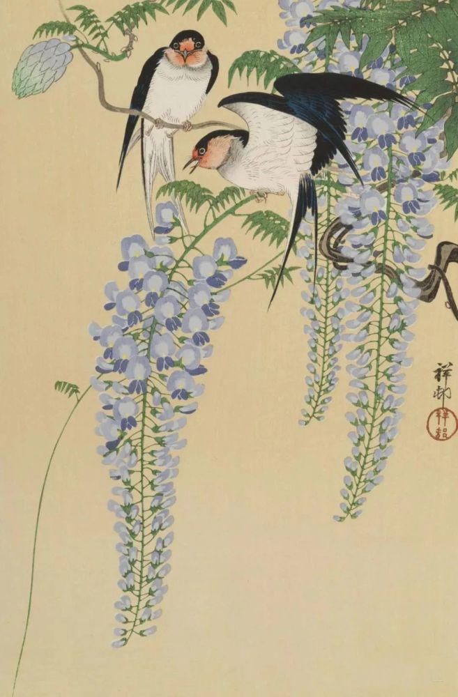 日本绘画大师的花鸟画，淡雅清新