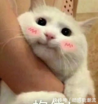 护肤品 护肤不马虎!大润发超市遇到这5款护肤品就拿下吧,虽平价但好用!