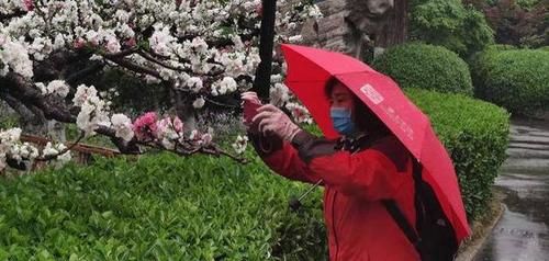 雨中踏青游！清明假期第一天，济南百花公园游客络绎不绝