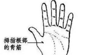 积滞|手上有一条青筋,没事刮一刮,可有效防治脑血栓!身体越来越棒!