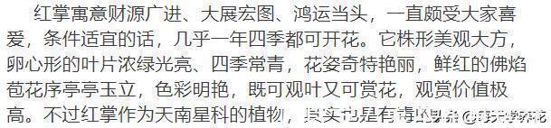 这六种花都是“毒花”,家里有老人、小孩、孕妇的,千万要慎养!