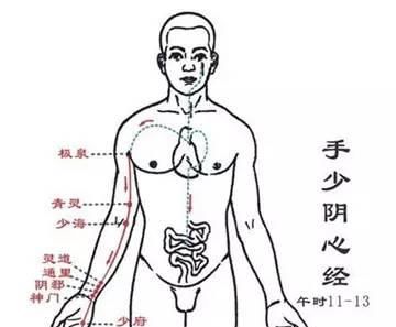  学会|人体12条经络！每条经络都隐藏着一个按摩小秘密！学会能治愈百疾