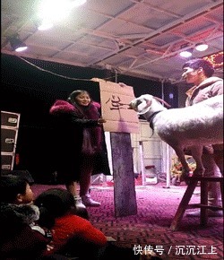 |搞笑GIF:女生是扎马尾辫好看,还是把头发放下来好看?