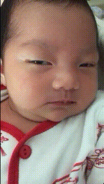 |搞笑GIF: 我猜学员是个女司机,要不你看教练都急成狗了