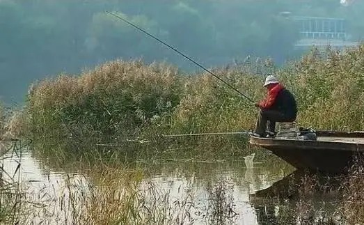 流速|入秋之后，选这几个地方下杆，大鲤大草疯狂钓不完！