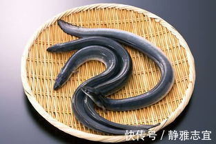 分心木|降血糖4宝！每天吃点儿，血糖只降不升！可作“天然胰岛素”！