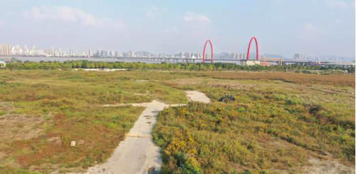 蚂蚁集团|投资之江房产亏损100多万,该板块曾因蚂蚁的那片荒地一夜暴涨