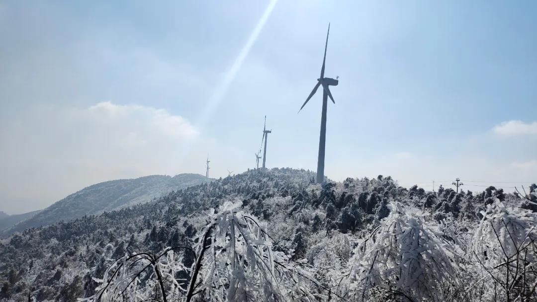 雾凇|绝了！天台冬季美景，宛如冰雪世界！一天看8小时都不够!