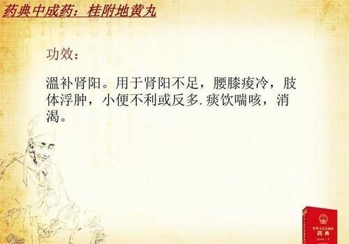 内经|桂附地黄丸和金匮肾气丸各自的功效有什么不同？