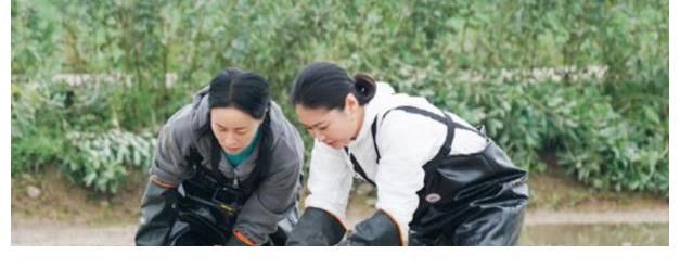 向往的生活|从“霸凌”年轻艺人,到被赞如“喜剧人”,那英终于上对综艺