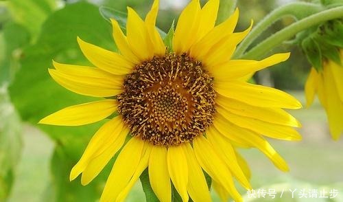 穿透|一段很现实的话,句句穿透人心!