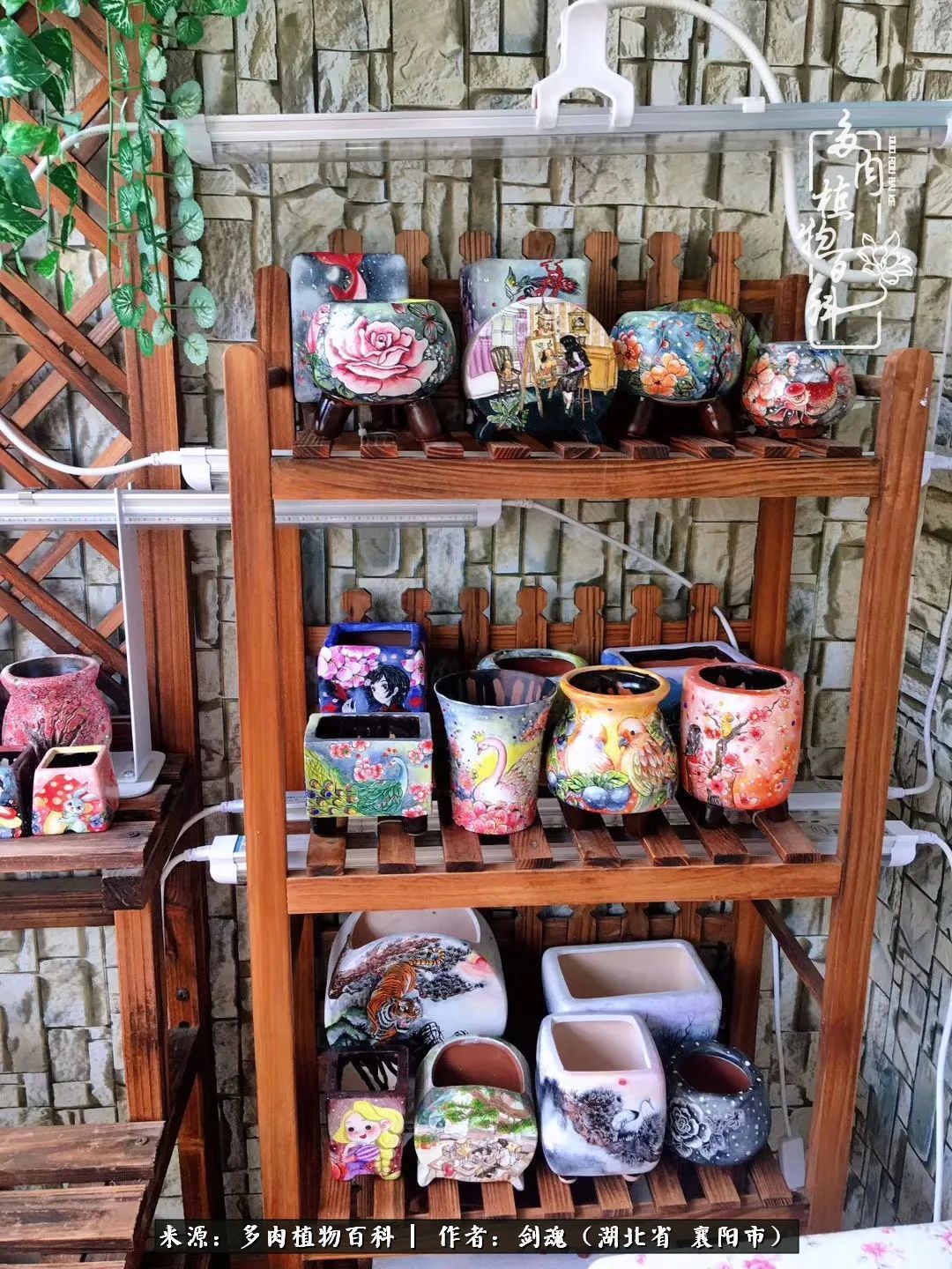 花盆|当美丽的多肉邂逅漂亮的手绘花盆,会是怎样的一种美