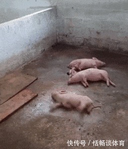 |搞笑GIF趣图段子:主任愣了一下说,舌头伸出来我看看