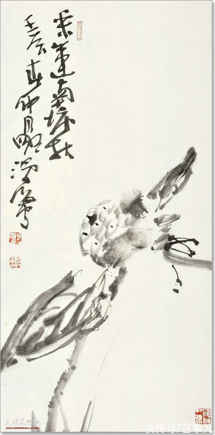 库尔勒!尹沧海教授荷花水禽作品欣赏:笔意简率自由 一派天趣自成