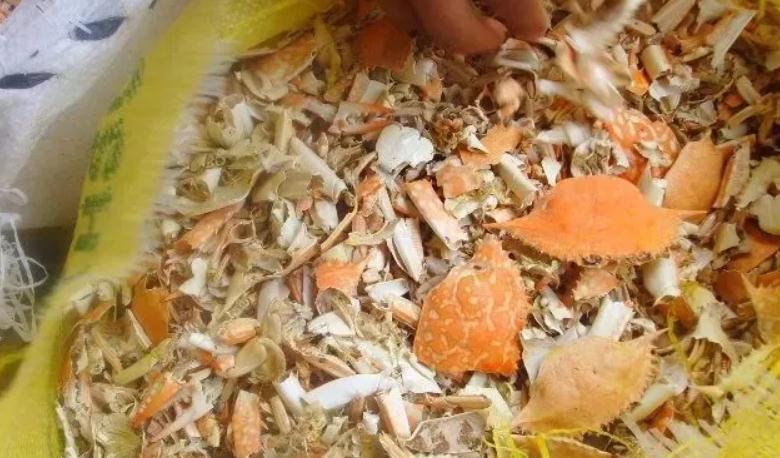 骨粉肥|养蟹爪兰,怎么催花?没有磷酸二氢钾就用它,1个月1次