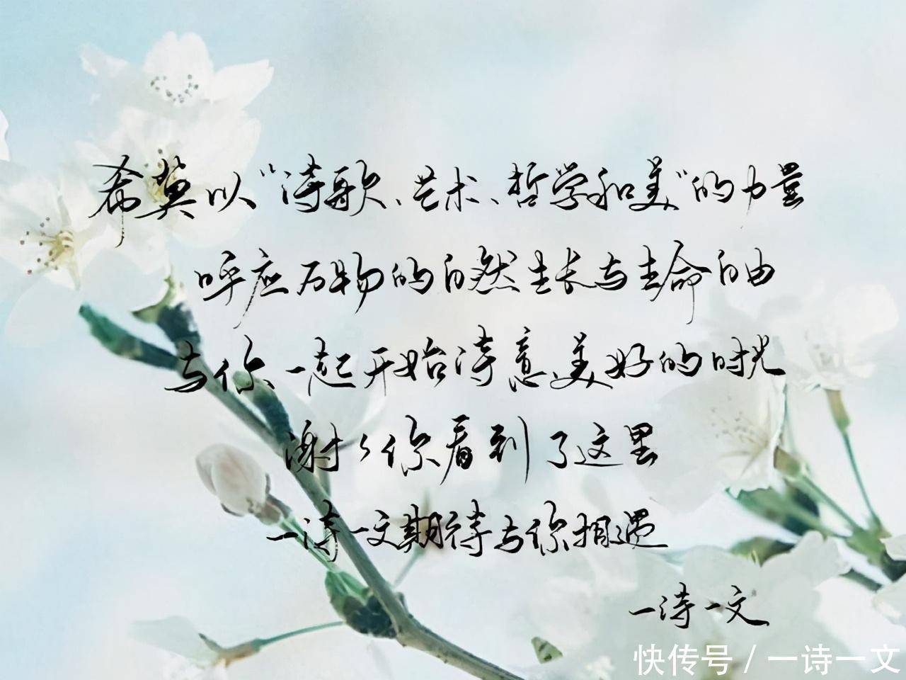 永远|你是我的特例,是我永远的太阳