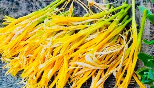 宫菜|女性宫寒,易得妇科病!多食此“暖宫菜”,宫寒没了,失眠病好了